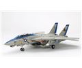 Grumman F-14D Tomcat in scala 1:48 Tamiya 61118 * Costruito e Verniciato EURO 226,00 * in Kit 106,00 (Iva Incl.) * Prodotto su Prenotazione