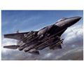 Boeing F-15E Strike Eagle w/Bunker Buster 1:32 Tamiya 60312 * Costruito e Verniciato EURO 365,00 * in Kit 165,00 (Iva Incl.) * Prodotto su Prenotazione