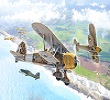 FIAT CR.42 Falco in scala 1/72 Italeri 1437 * Euro 18,50 in Kit, * Euro 38,50 Verniciati (Iva Incl.)